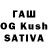 Конопля White Widow Stephanie Daschner