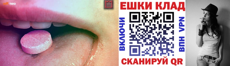 Ecstasy Philipp Plein  магазин    Кимры 