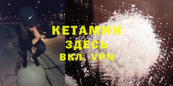 крисы Баксан