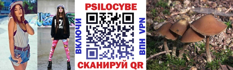 Псилоцибиновые грибы GOLDEN TEACHER  omg как войти  Кимры 